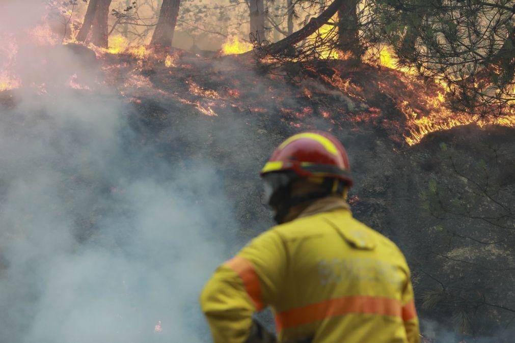 Cinco fogos ativos às 12h00, os mais graves em Vila Real