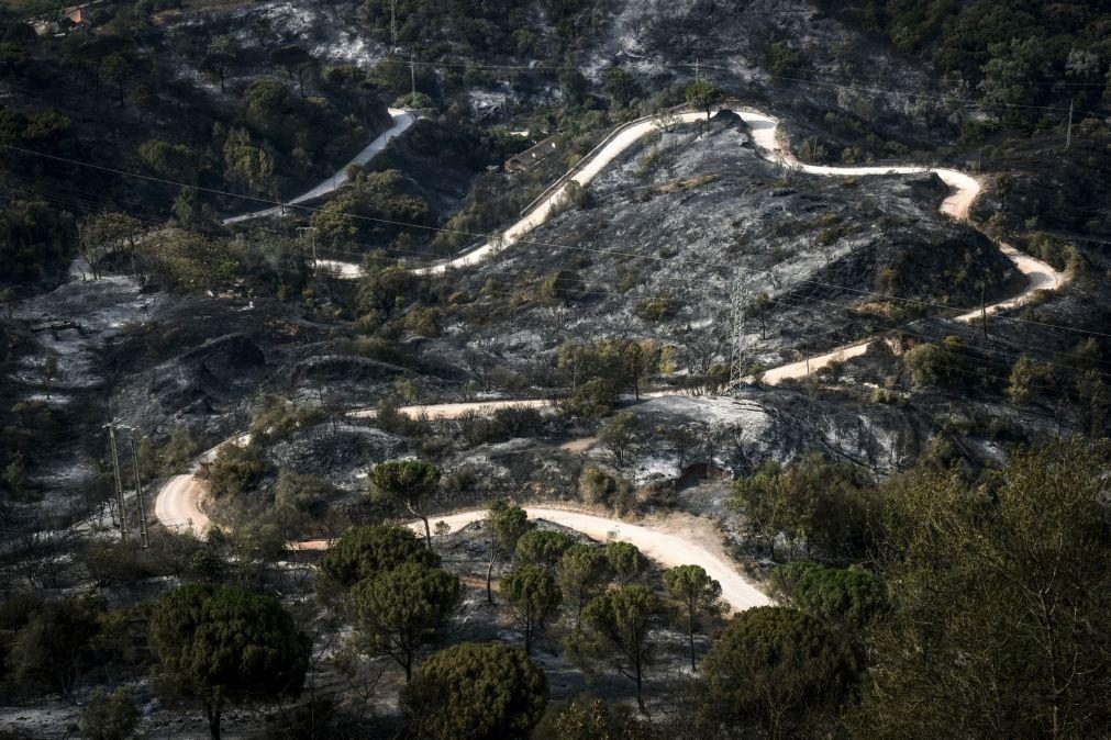 Mais de 7.500 incêndios e mais de 58.000 hectares ardidos este ano