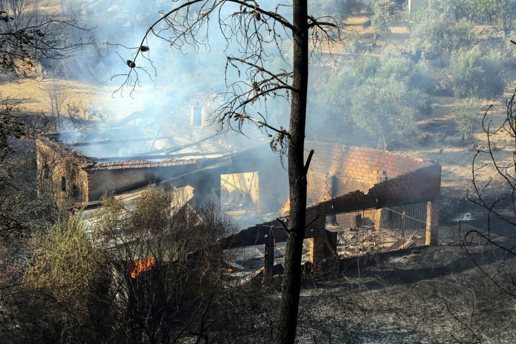 Incêndios: Relatório destaca incumprimento da lei em redor de povoações, casas e estradas