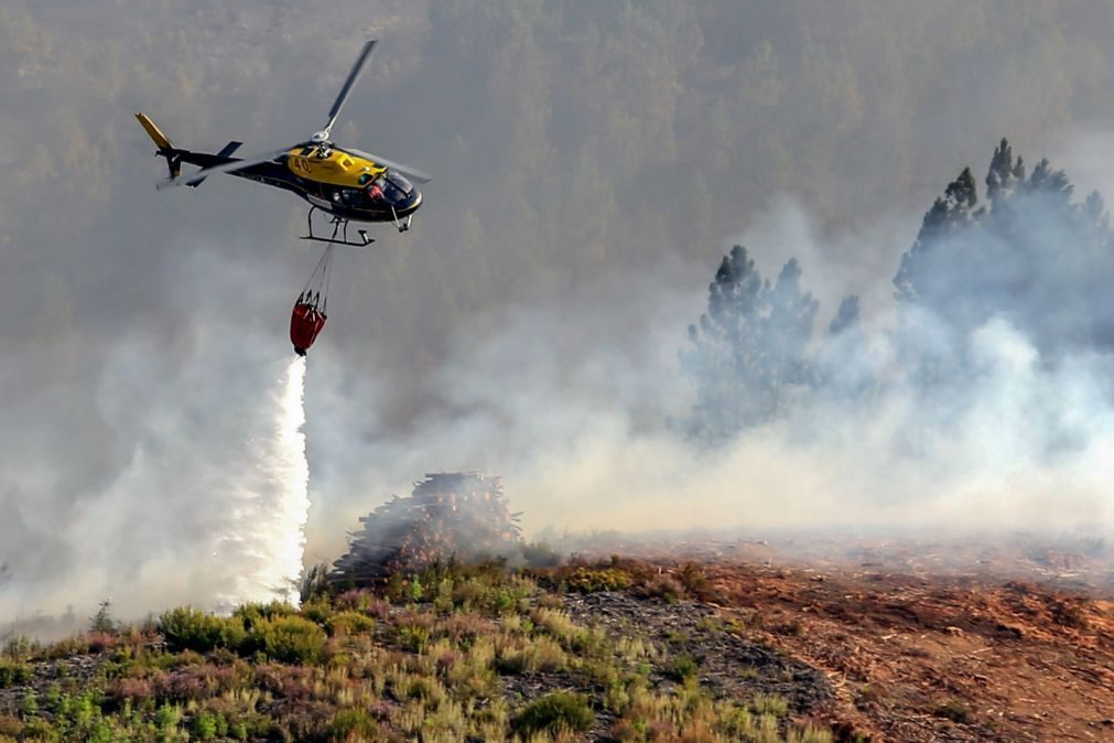 Quatro meios aéreos combatem chamas em S. Pedro do Sul