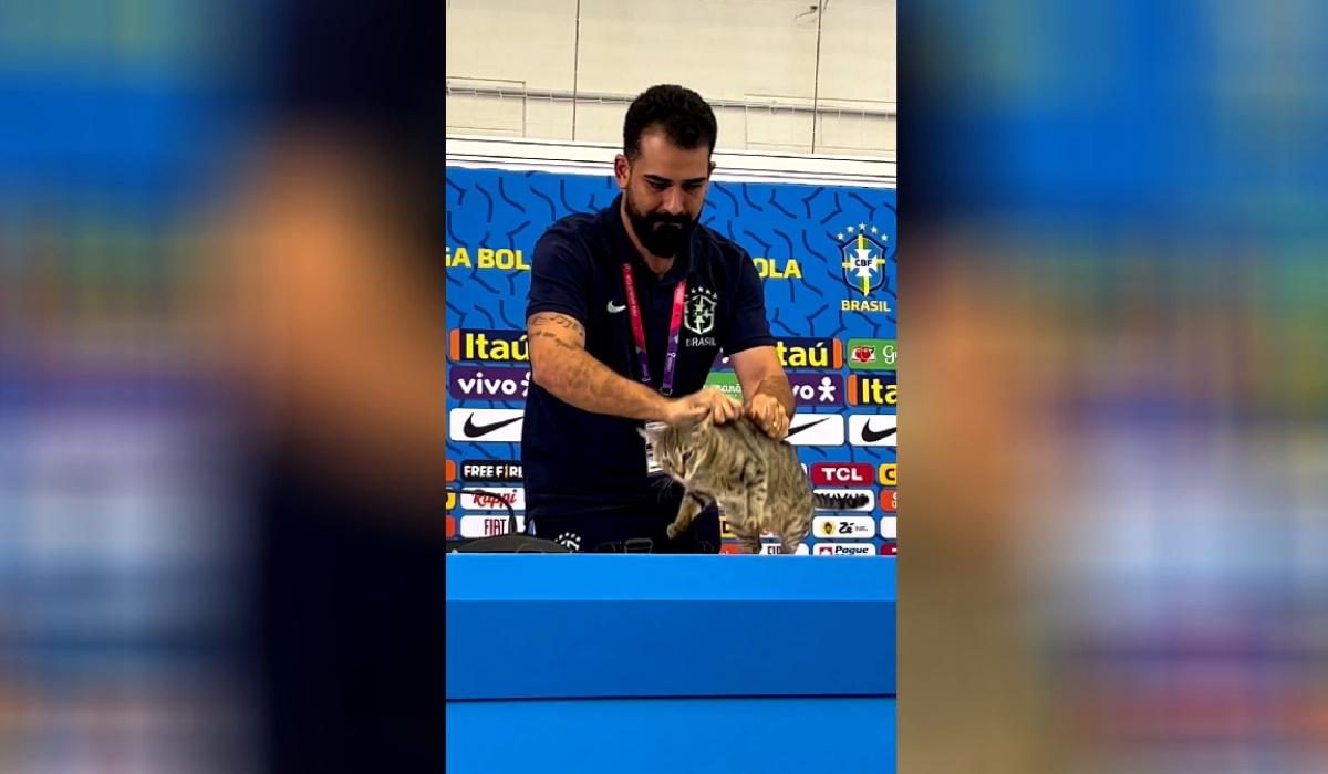 Mundial do Qatar - Gato invade conferência e é atirado ao chão. Momento está a chocar