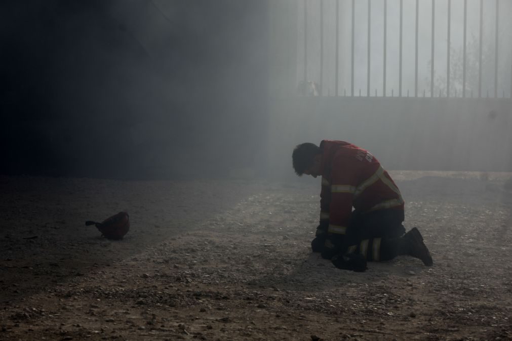 Incêndios da Lousã, Alcobaça, Seia e Vale de Cambra mobilizam mais de 1.500 operacionais