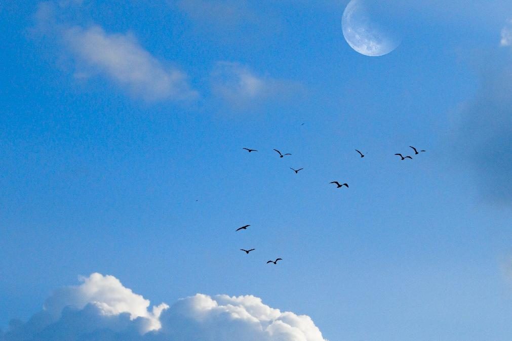 Meteorologia: Previsão do tempo para sábado, 4 de fevereiro