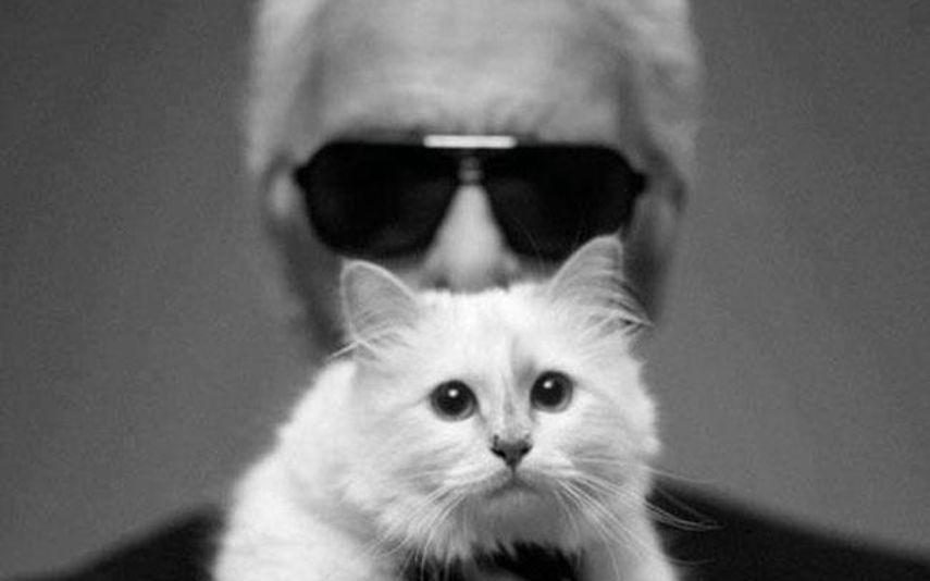 Karl Lagerfeld  - Gata do designer alemão convidada para a Met Gala