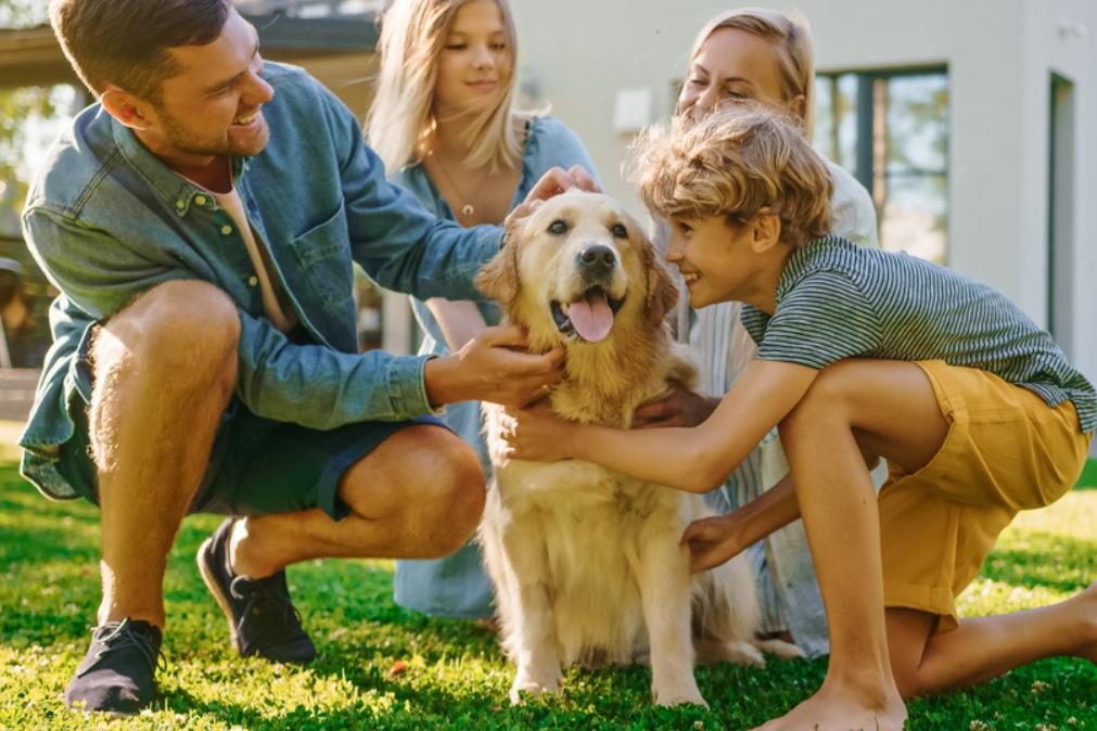 É por isto que os cães são tão leais