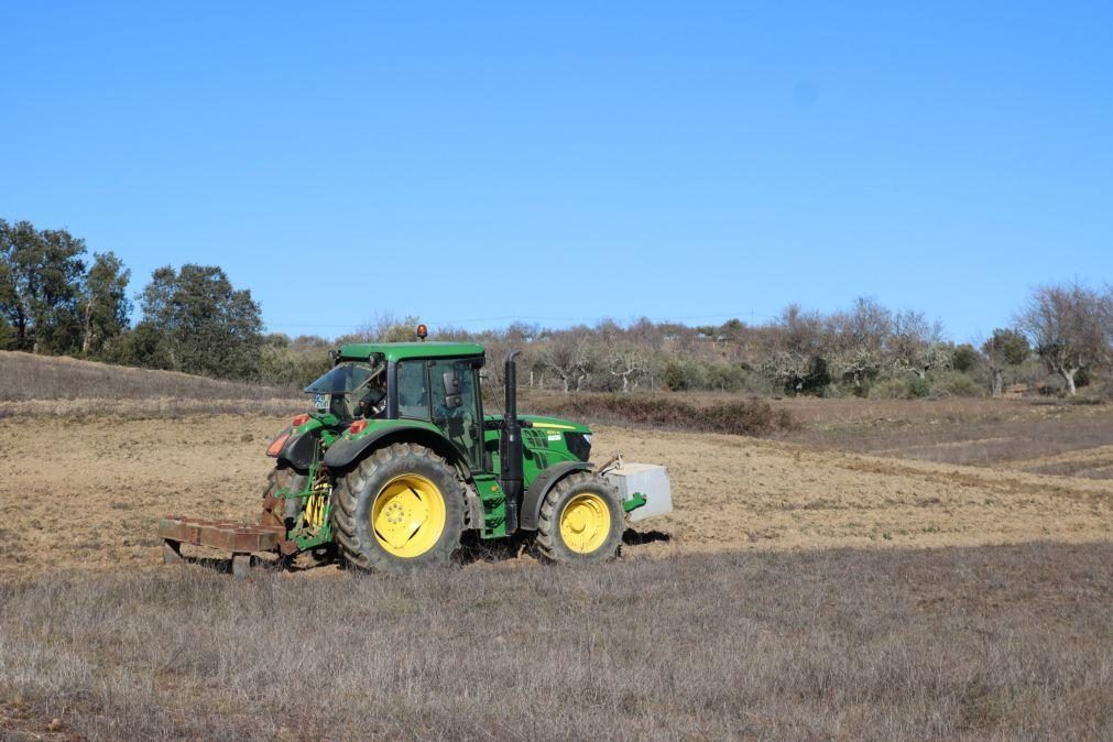 Preços de alimentos agrícolas em Portugal sobem quase o dobro da UE