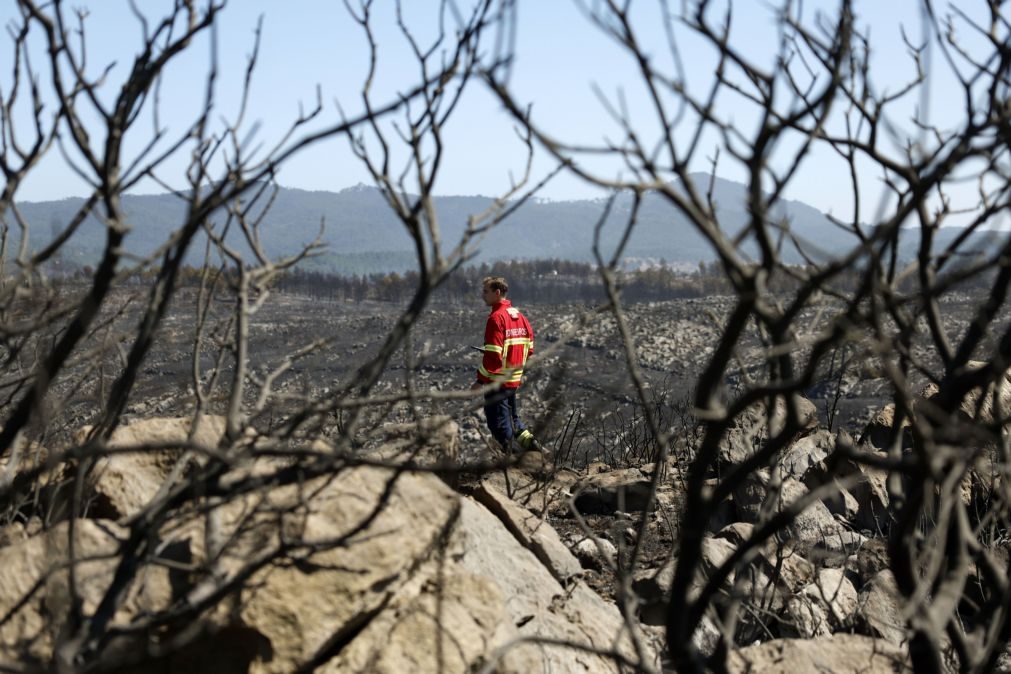 Mais de 50 concelhos de sete distritos em perigo máximo de incêndio