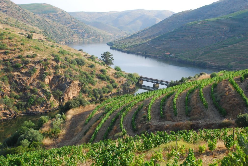 Região Demarcada do Douro escolhida como 