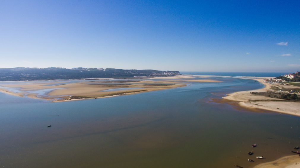 Mariscadores pedem intervenção urgente para travar assoreamento da Lagoa de Óbidos