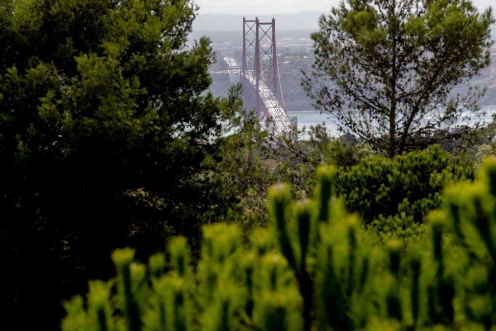 Ponte 25 de Abril fechada ao trânsito na madrugada de domingo devido a obras