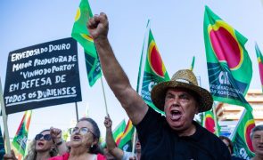 Viticultores de luto alertam para pré-catástrofe no Douro