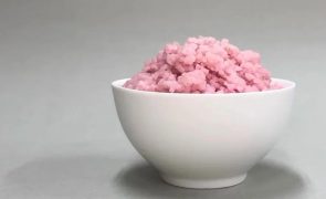 Descoberto o alimento do futuro: Arroz híbrido rico em proteínas