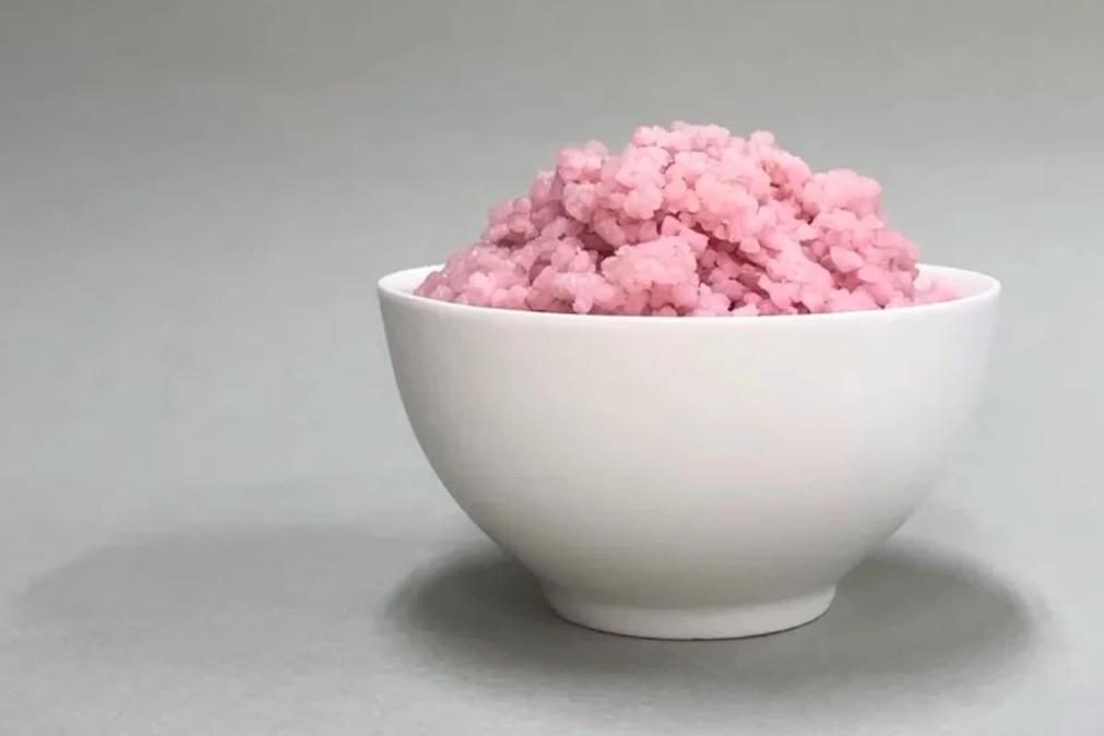 Descoberto o alimento do futuro: Arroz híbrido rico em proteínas