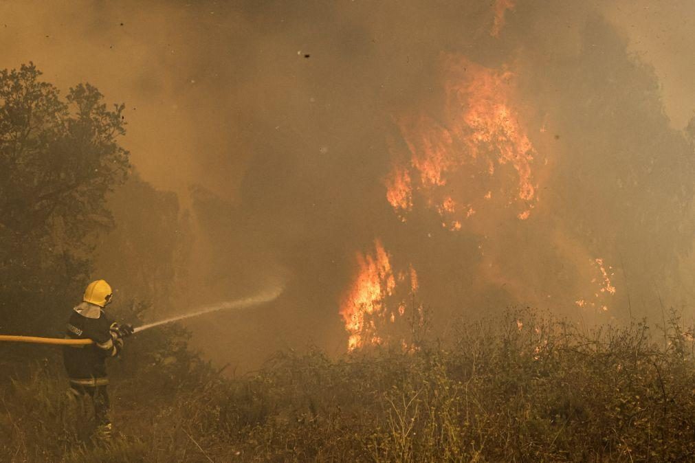 Cerca de 50 concelhos do interior Norte e Centro e município de Tavira em risco máximo de incêndio