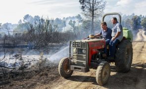 Fogos rurais quase duplicam em julho e atingem o valor mais alto de 2024