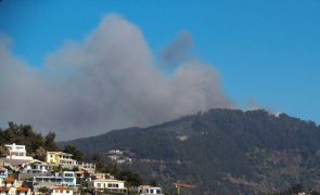 Bombeiros madeirenses combatem chamas na Ribeira Brava e em Câmara de Lobos