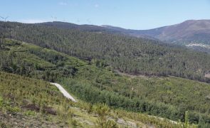 Lei do Restauro da Natureza entra em vigor no sábado