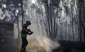 Dois fogos mobilizam 274 operacionais e 12 meios aéreos no distrito da Guarda