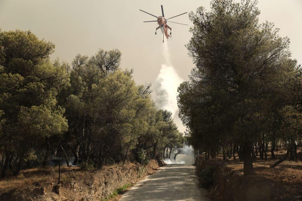 Fogo em Penafiel combatido por 125 operacionais e 10 meios aéreos