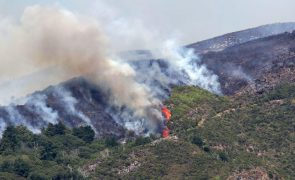 Governo da República ofereceu apoio para combate ao fogo na Madeira