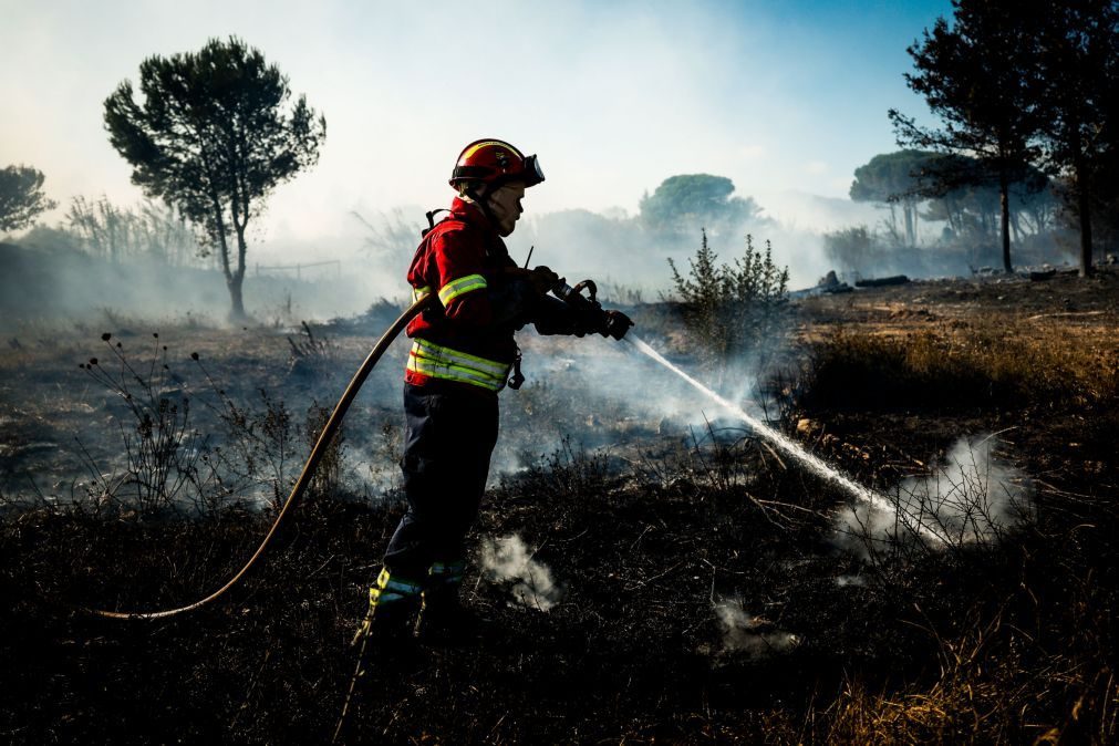 Grande parte do interior Norte e Centro e do Algarve em risco máximo de incêndio