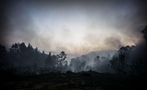 Fogo em Arcos de Valdevez lavra com intensidade mas não há casas em perigo