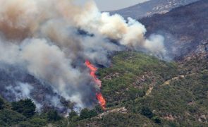 Três frentes ativas do incêndio continuam a ser combatidas na Madeira