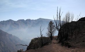 Focos de fogo ativos Ribeira Brava estão longe das habitações