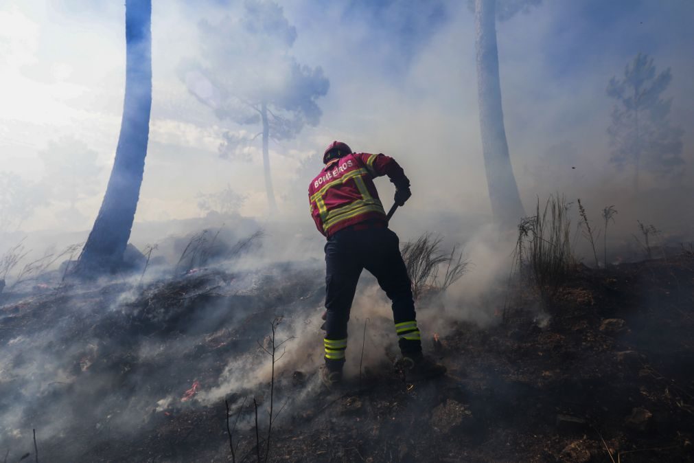 Dominado fogo no concelho de Elvas