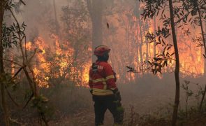 Mais de 60 concelhos em perigo máximo de incêndio