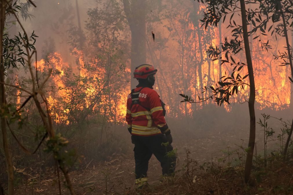 Mais de 60 concelhos em perigo máximo de incêndio