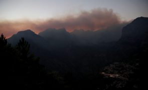 Fogo chegou ao Pico Ruivo e reforço de meios a caminho