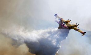 Aviões pedidos por Portugal à UE chegam hoje à Madeira