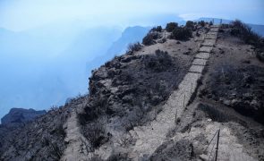 Aviões Canadair deverão atuar já hoje na cordilheira central na Madeira