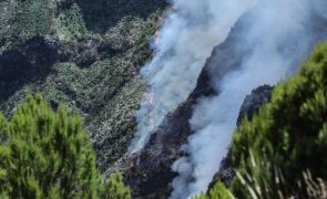 Incêndios continua ativo na cordilheira central e na Ponta do Sol