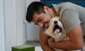 Dia Mundial do Cão Conheça os adoráveis melhores amigos dos famosos