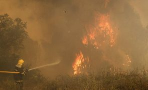 Perto de 100 operacionais combatem dois incêndios em Arcos de Valdevez