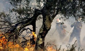 Três maiores Incêndios estão no Norte e evoluem favoravelmente