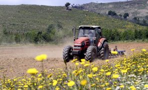 IFAP pagou quase 54 ME aos agricultores até 23 de agosto