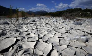 Escassez de água preocupa empresas agrícolas do sudoeste alentejano