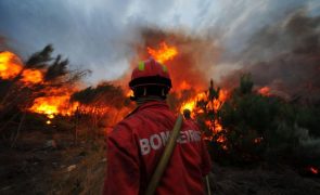 Mais de 40 concelhos de sete distritos em perigo máximo de incêndio