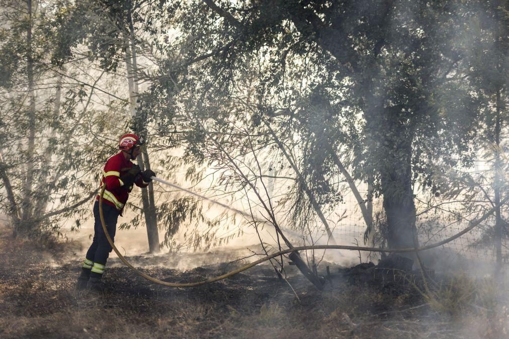 Mais de 400 operacionais prosseguem combate a incêndio com início na Amora