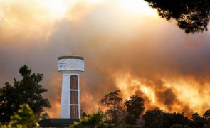 Autarca diz que fogo destruiu 230 hectares de mato no Seixal