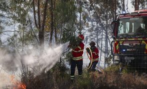 Mais de 280 operacionais combatem fogo no concelho de Pombal