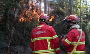 Cerca de 60 concelhos de nove distritos do continente em perigo máximo de incêndio