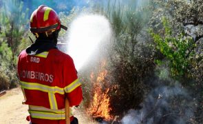 Madeira manifesta disponibilidade para ajudar no combate aos fogos no continente