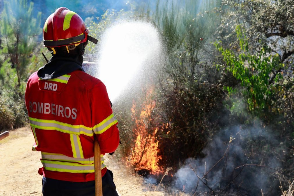 Madeira manifesta disponibilidade para ajudar no combate aos fogos no continente