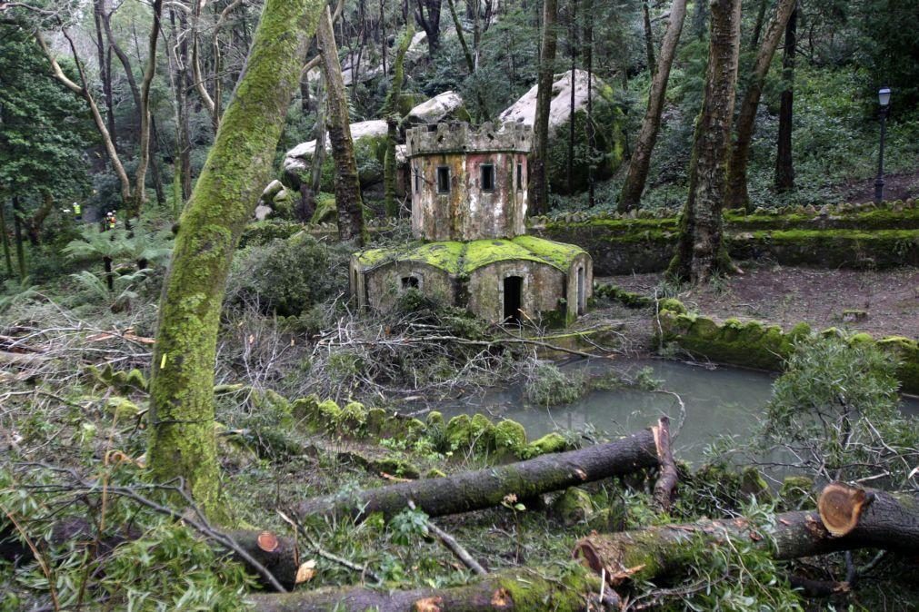 Perímetro florestal da Serra de Sintra encerrado devido a risco elevado de incêndio rural