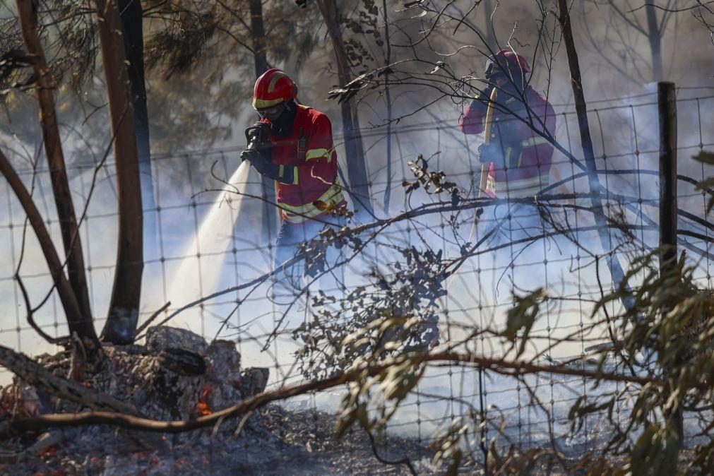 Perigo máximo de incêndio rural em mais de 100 concelhos do continente