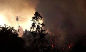 Bruxelas recebeu pedido de Portugal de meios adicionais para debelar fogos